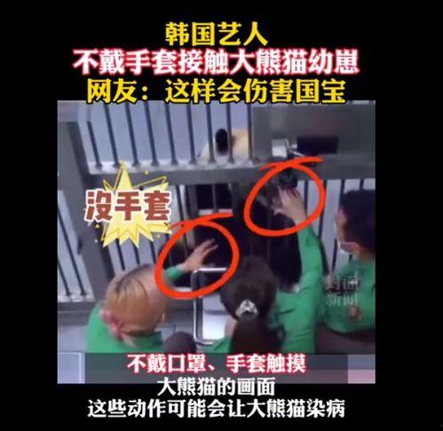 韩综组建女团爆料视频,独家爆料视频深度解析  第2张